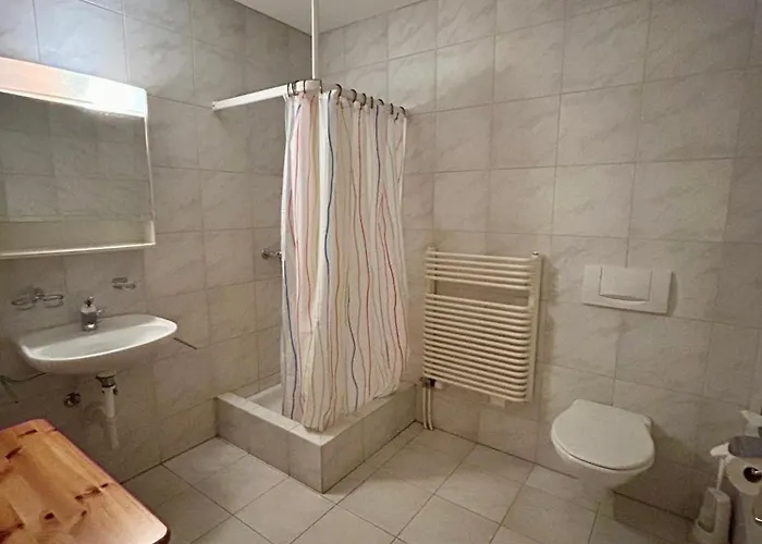 Spacious In Swiss Alps *